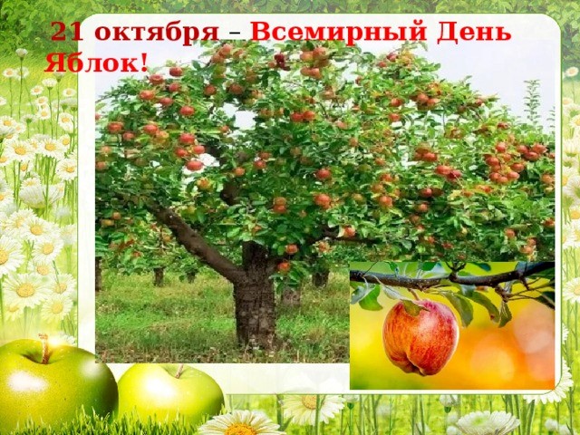 21 октября - Всемирный день яблок